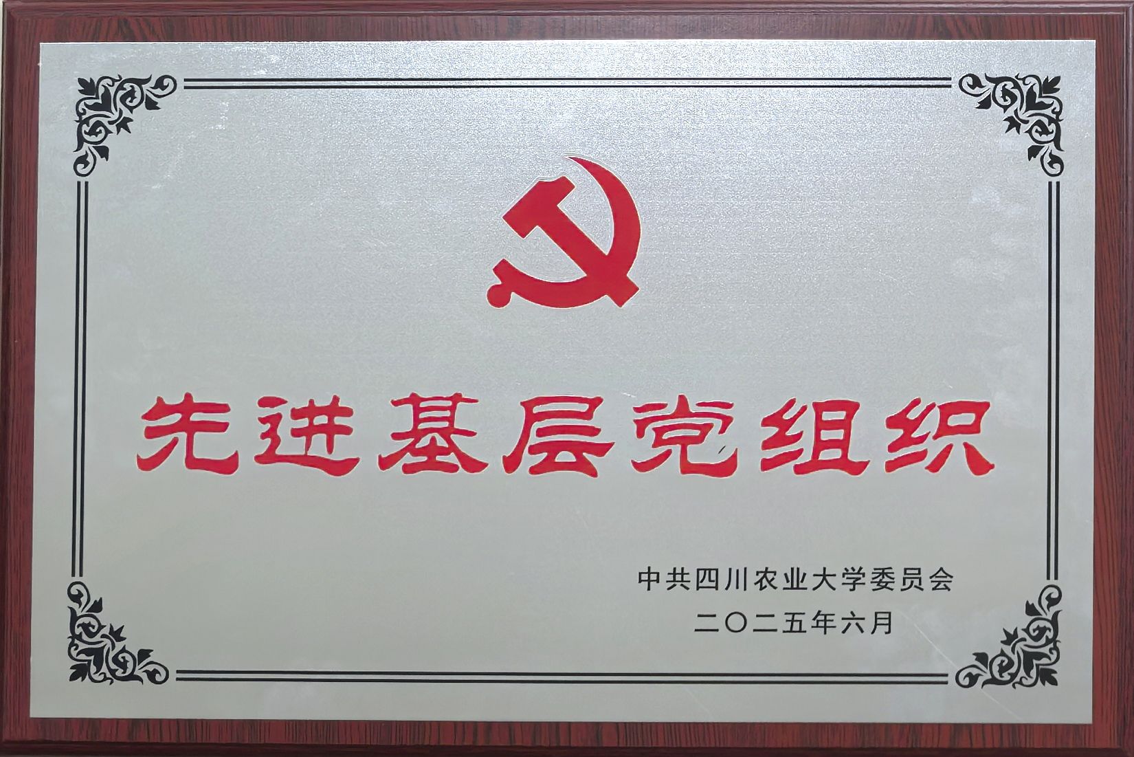 tyc41183太阳成集团