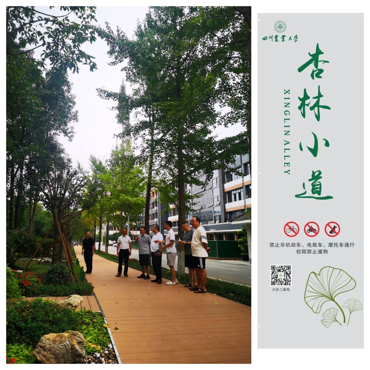 tyc41183太阳成集团