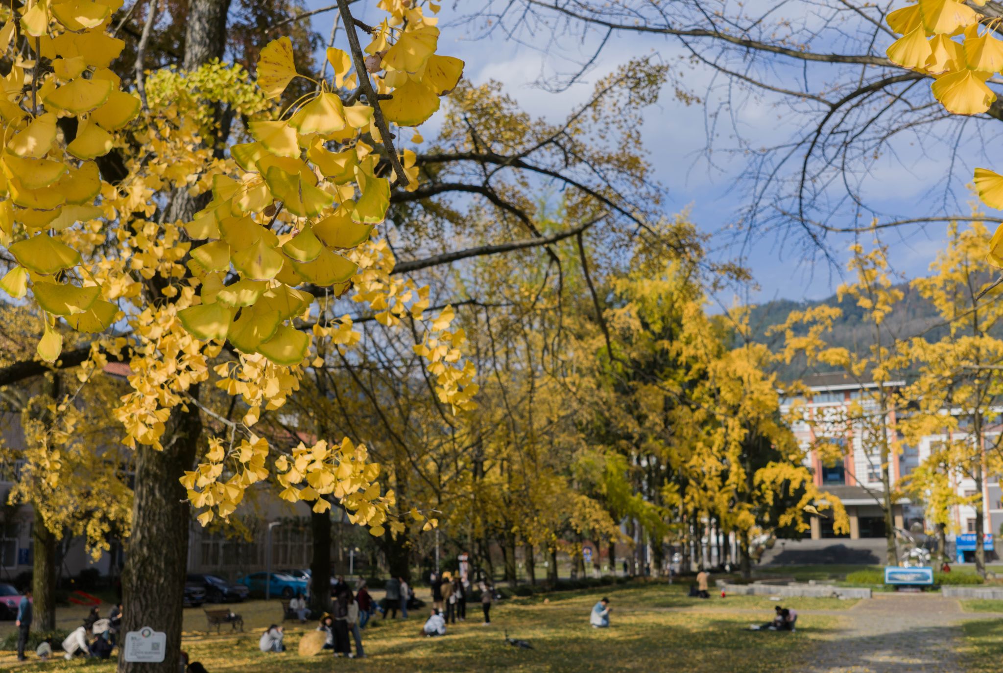 tyc41183太阳成集团