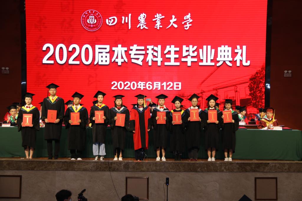 tyc41183太阳成集团