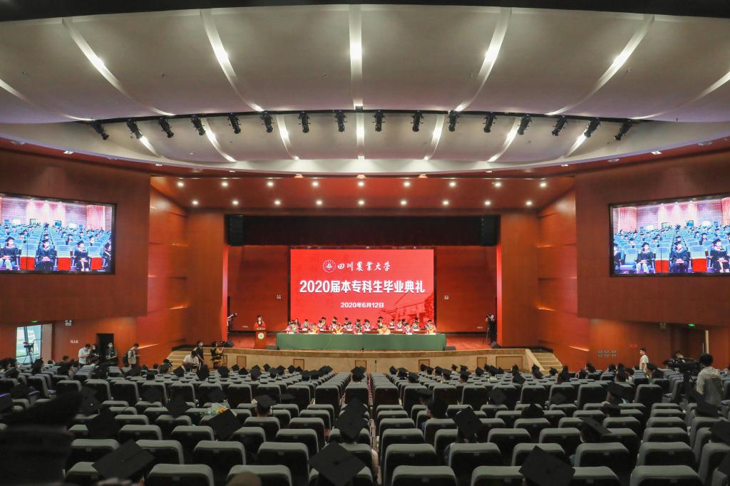 tyc41183太阳成集团